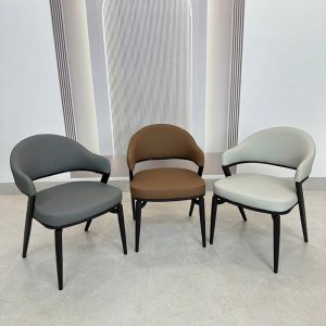 Ghế Ăn Nhập Khẩu GS-610